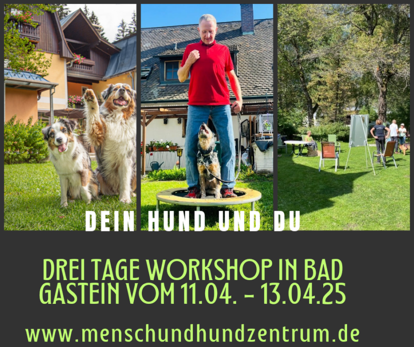 Dein Hund und Du